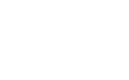 WILDCARD